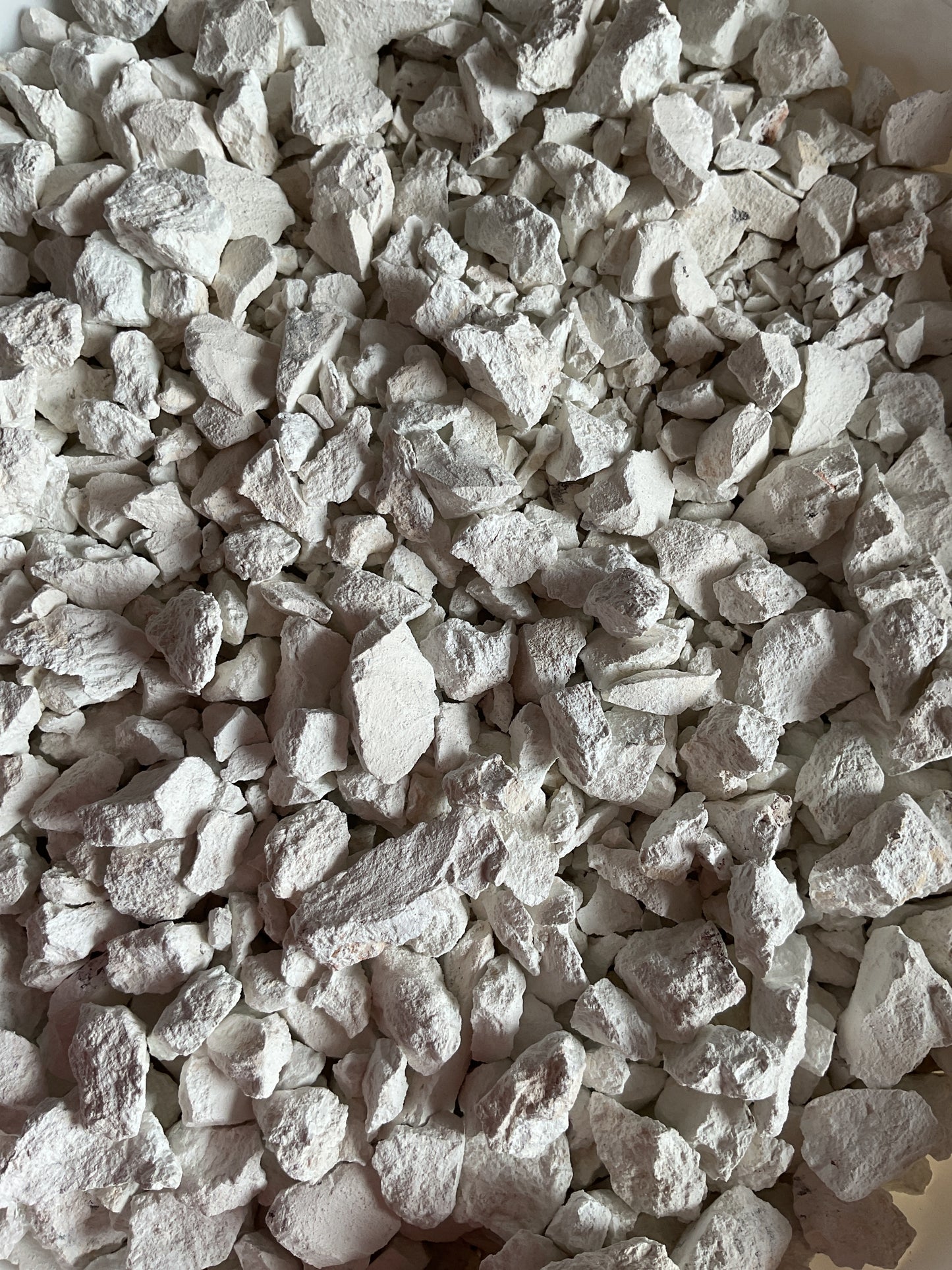 Palomitas coco