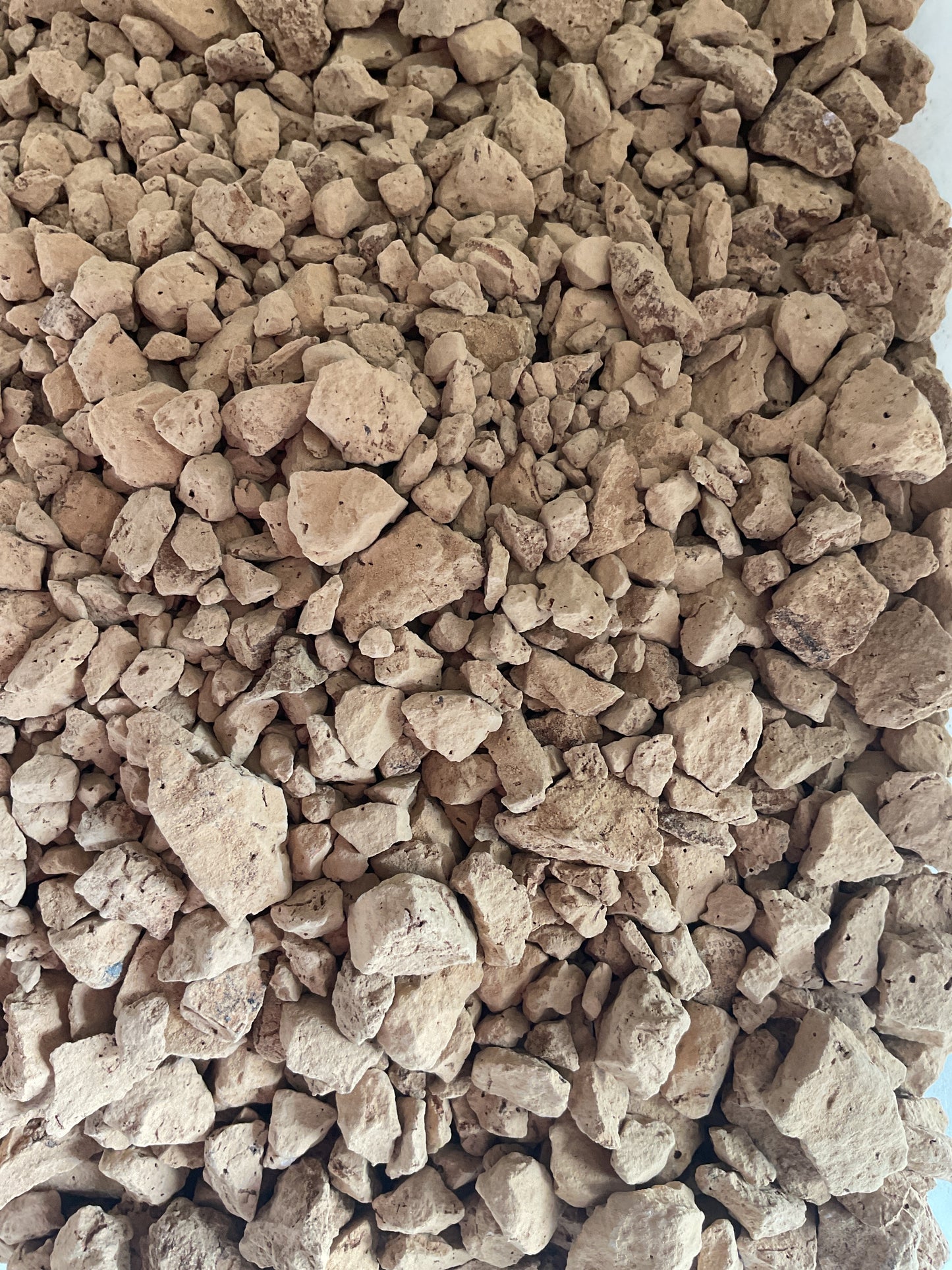 Palomitas de amanecer