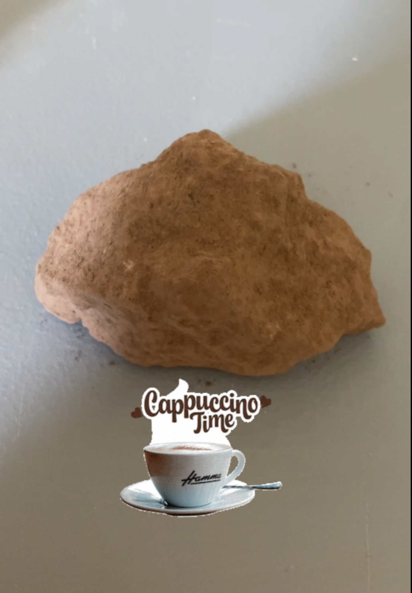 Terrón capuchino x2